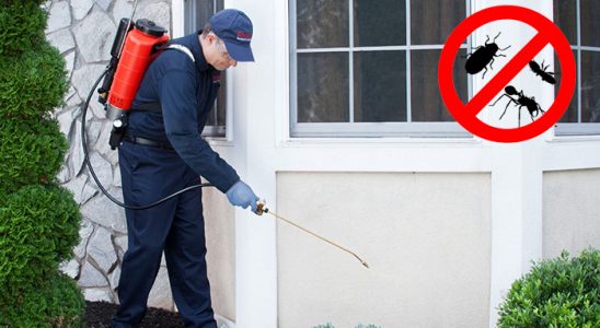 Dikili Fare İlaçlama böcek ilaçlama ve haşere kontrolü — ilaclama-tr.com